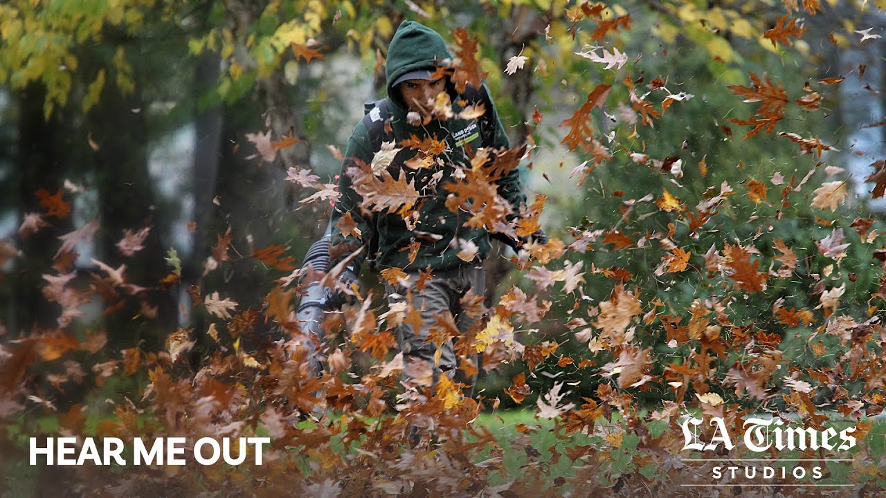 Everyone hates leaf blowers. We have laws banning them. So why are they  everywhere?