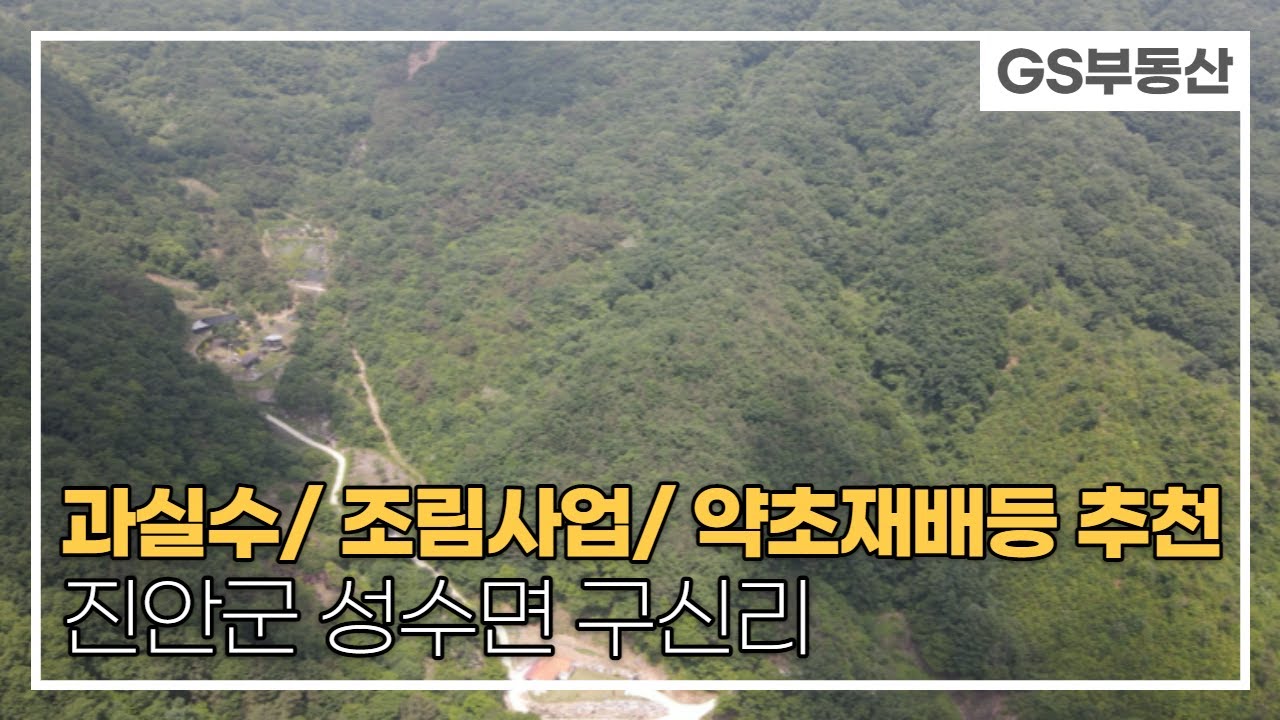 [진안군임야매매]2만평 규모의 넓은 임야 과실수식재/조림사업등 추천 (매물번호 577)