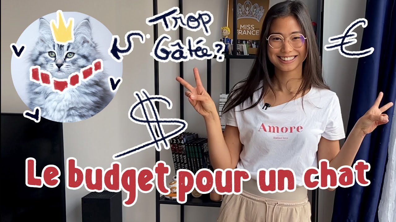 COMBIEN ME COUTE MON CHAT ?