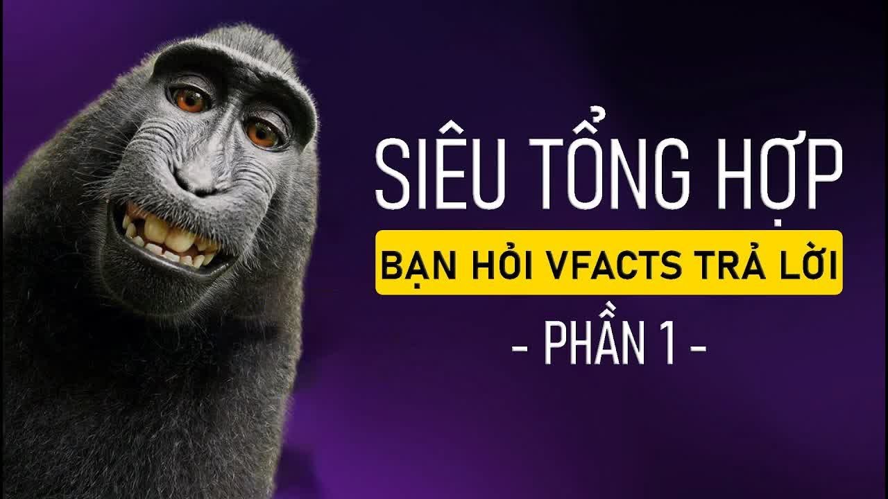 #788 Siêu Tổng Hợp Bạn Hỏi VFacts Trả Lời! (Phần 1)