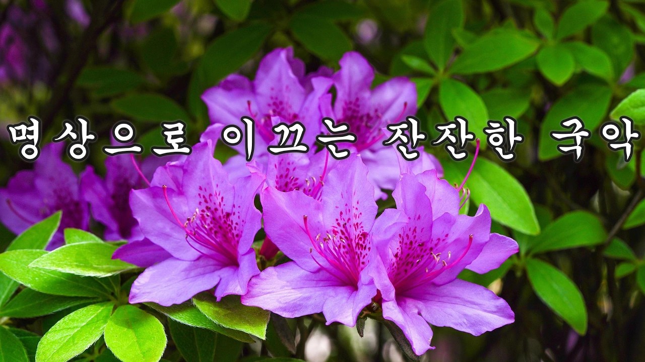 (#67)한국 전통 국악 연주곡 :  🌿가야금의 잔잔한 떨림, 해금의 부드러운 떨림.