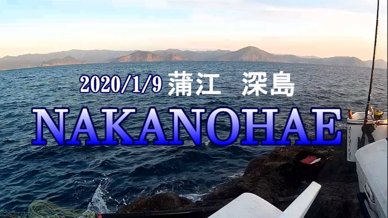 【釣具のイヴ】2020/1/9　大分県佐伯市蒲江・深島　中のハエ