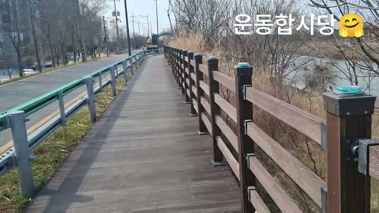 #걷기운동 #날씨가 좋아요 핫둘핫둘 운동하믄서 놀자구용 #구독좋아요 #succulent 