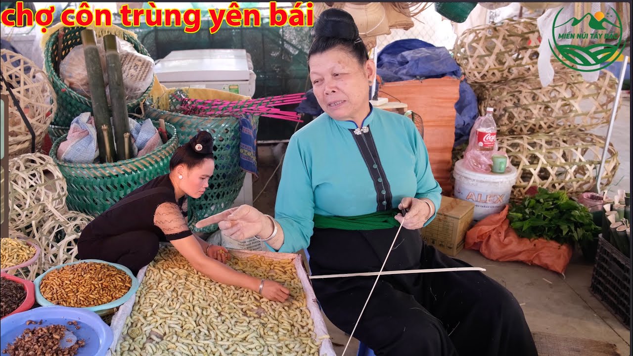 Chợ Mường Lò Nghĩa Lộ YÊN BÁI Bán Toàn Đặc Sản Tây Bắc | Miền núi tây bắc