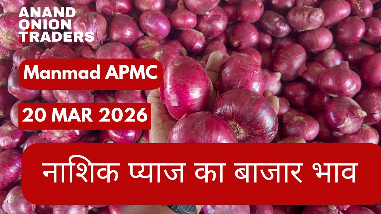 आज नाशिक प्याज खरीदी भाव 🔥 | Today Nashik Onion Purchasing Rate 20 March 2026