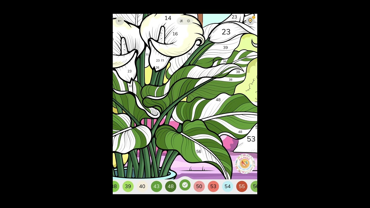 Elegant Calla Lilies (Zen Color)