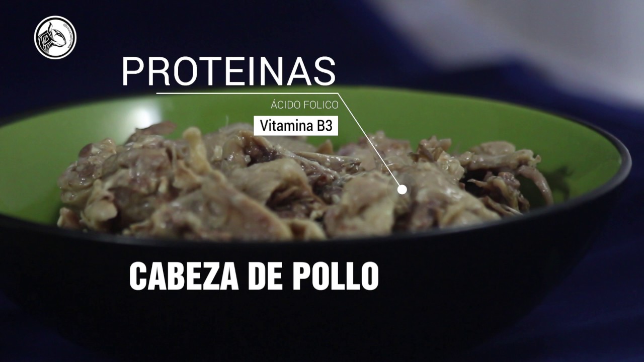 EL ALIMENTO DE PERRO MEJOR Y MÁS BARATO QUE LAS CROQUETAS