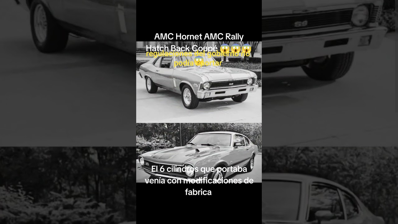 #amc