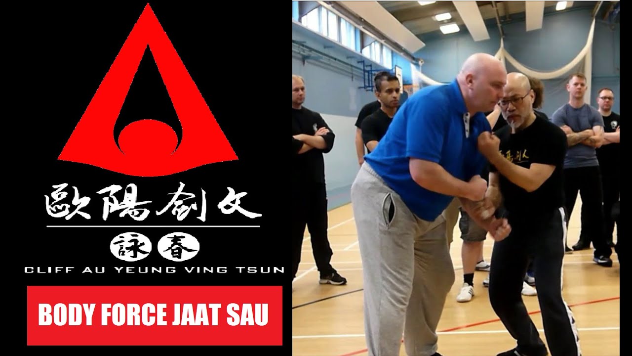 SIFU CLIFF AU YEUNG - WING CHUN - Jaat Sau with Body Force
