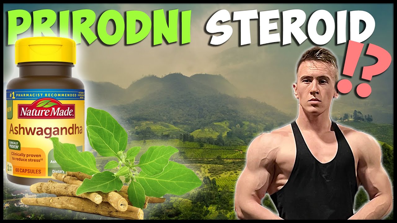 ASHWAGANDHA🌱  Prirodni testosteron booster iz Indije 💉