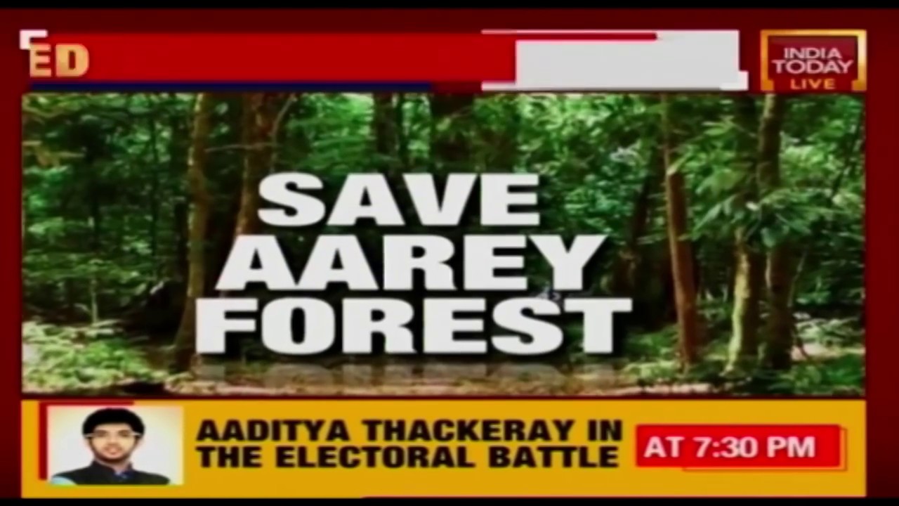 Aarey Protest Turns Political: Will Sena Backout From Alliance With BJP In Maharashtra?