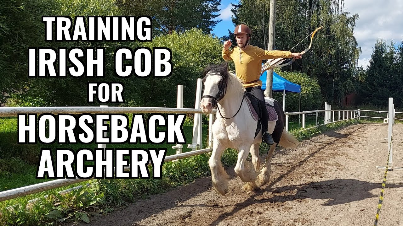 Training an Irish Cob for Horseback archery