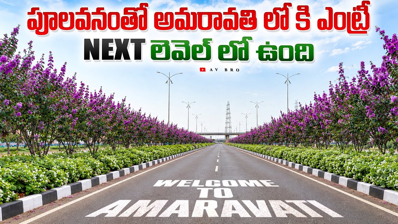 amaravati Seed Access Road To Present Assembly Status 😱