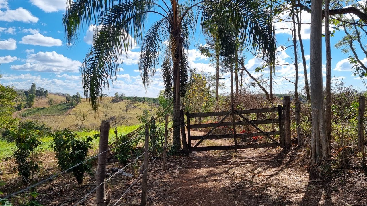 VENDE SE SITIO 4  ALQUERES 10  ECTARES NAS MONTANHAS CAFEEIRAS DE MINAS GERAIS .
