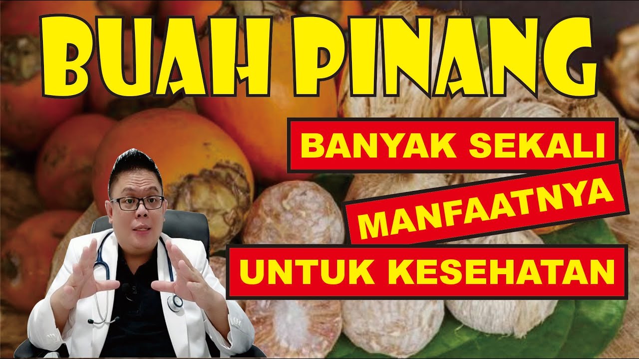 MANFAAT BUAH PINANG UNTUK KESEHATAN
