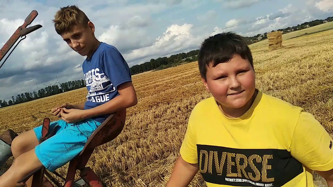Żniwa ze snopowiązałką warta u Kosmalów [1.08.19]