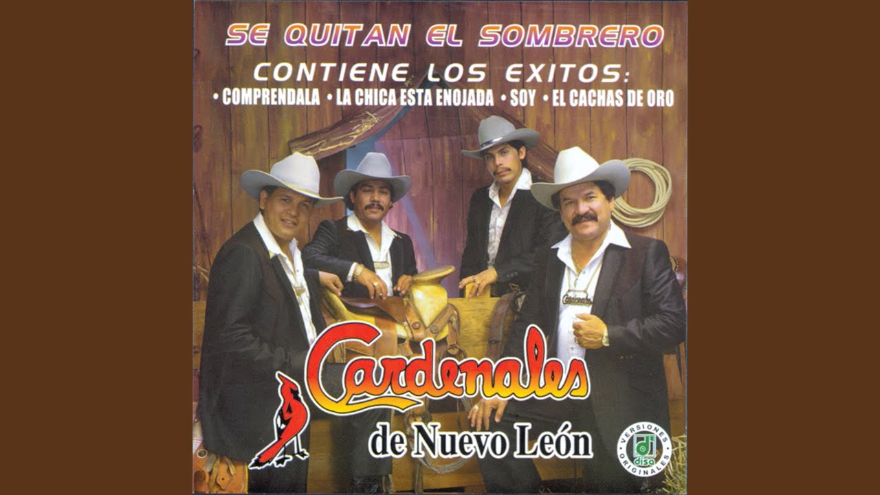 El Cariño Que Perdí (Album Version)