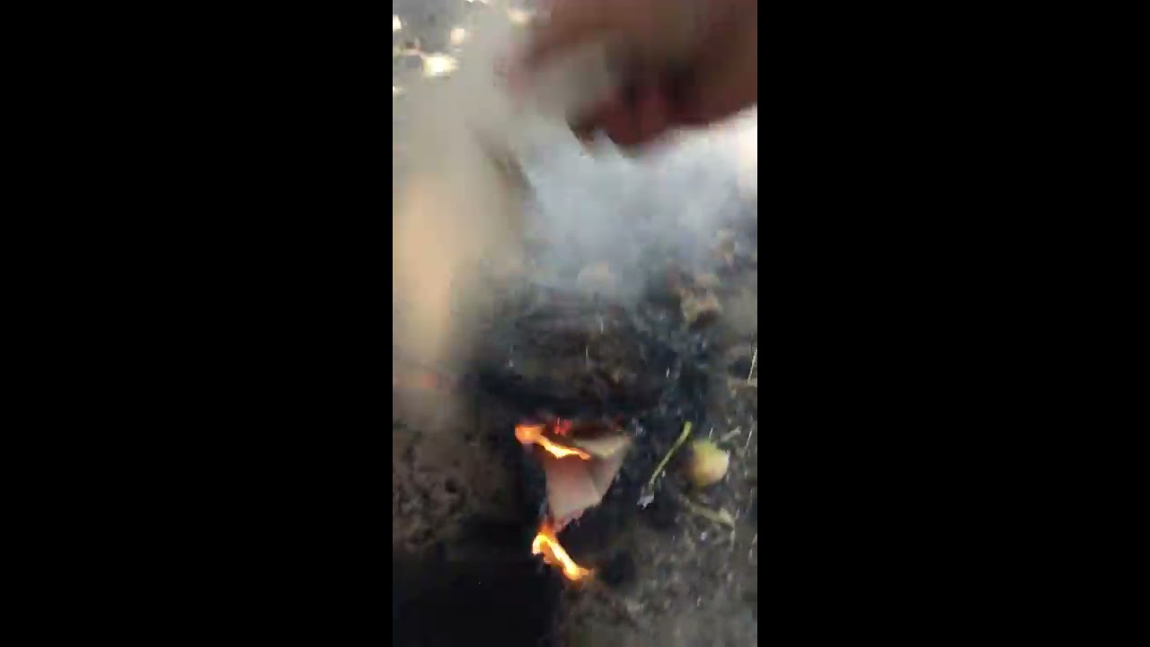 combustion de bouse de vache seche : elwguid