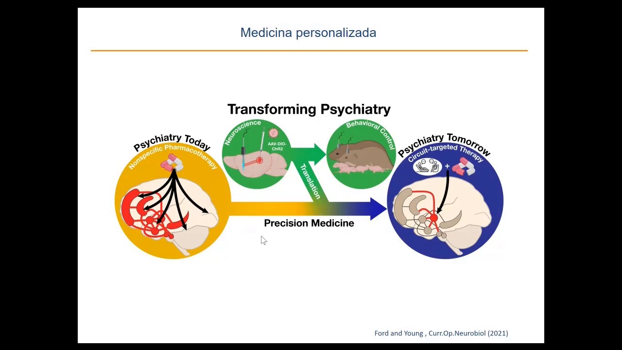 Optogenética: cómo la luz nos está ayudando a entender el cerebro