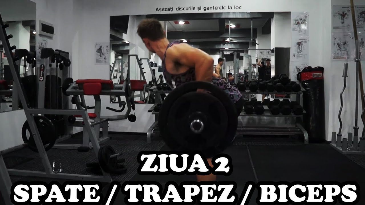 Spate | Trapez | Biceps | Ziua 2 | Program incepatori