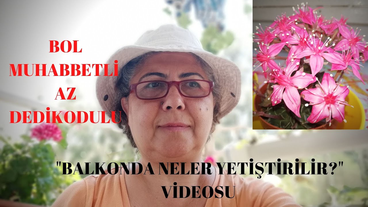 BOL MUHABBETLİ , AZ DEDİKODULU 