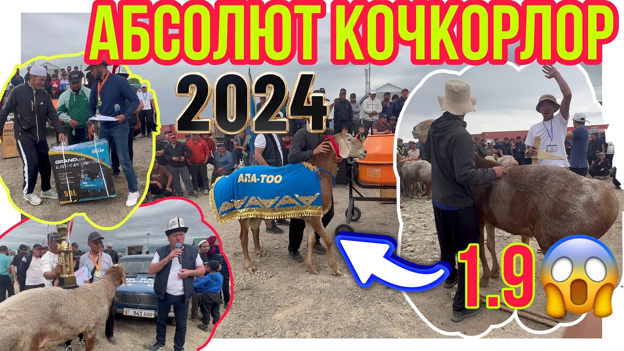 🥶😱Кок Жугулини Ким Утту 1.9 см Абсолют Кочкорлор @BARPYKG