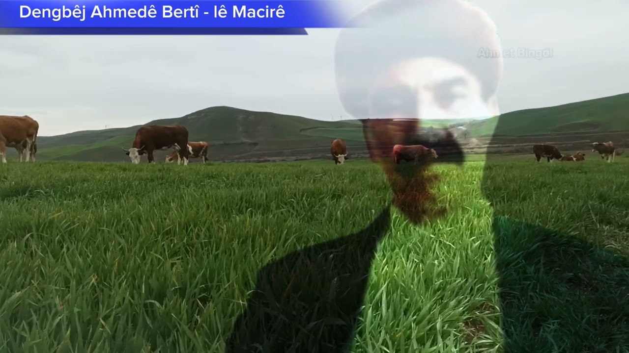 DENGBÊJ EHMEDÊ BERTÎ - LÊ MACİRÊ