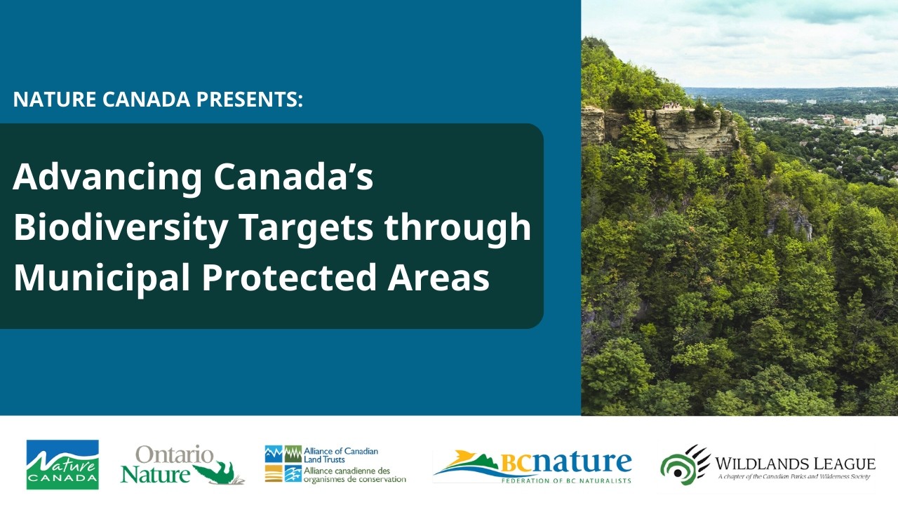 Advancing Canada's Biodiversity Targets through Municipal Protected Areas