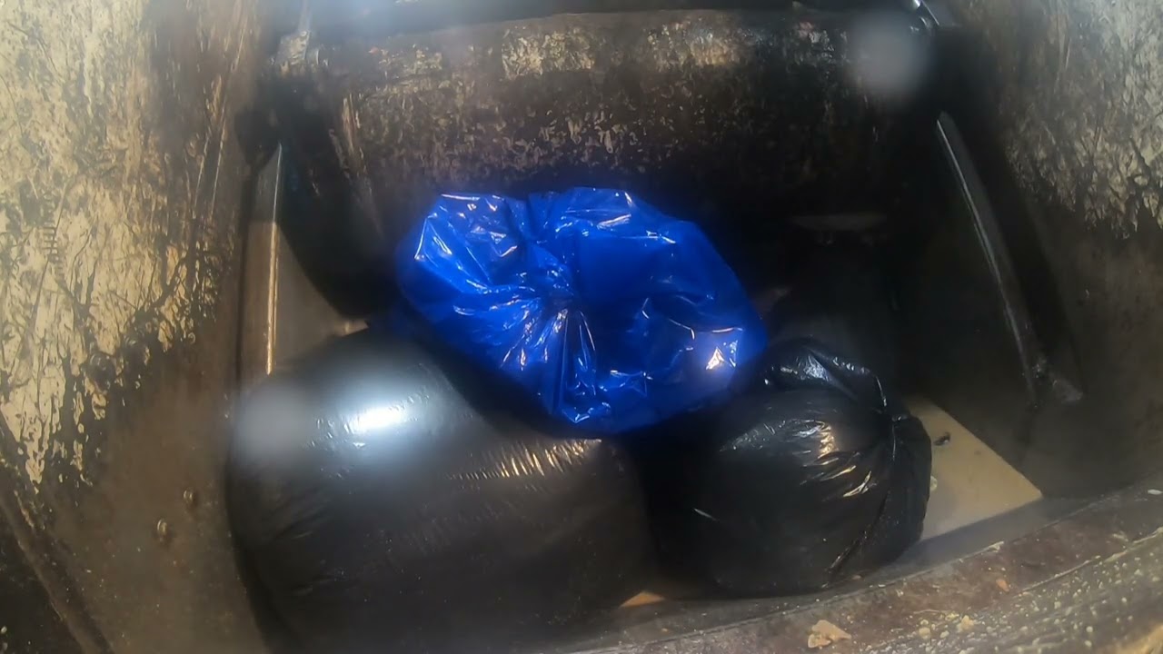 Trash run # 15
