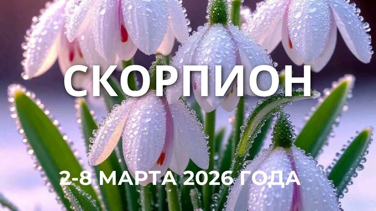 Скорпион, 2-8 марта 2026 года 🌷🌷🌷