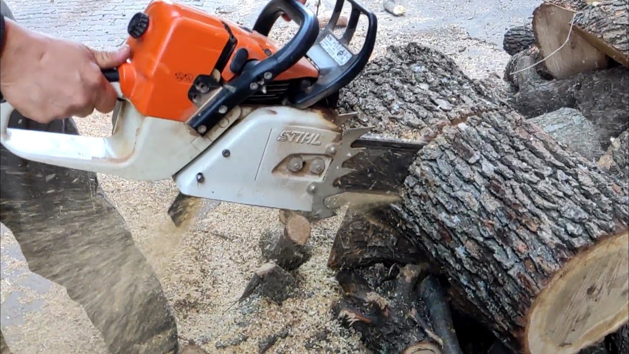 STİHL MS 361 YAŞ MEŞE KESİMİ PART 3