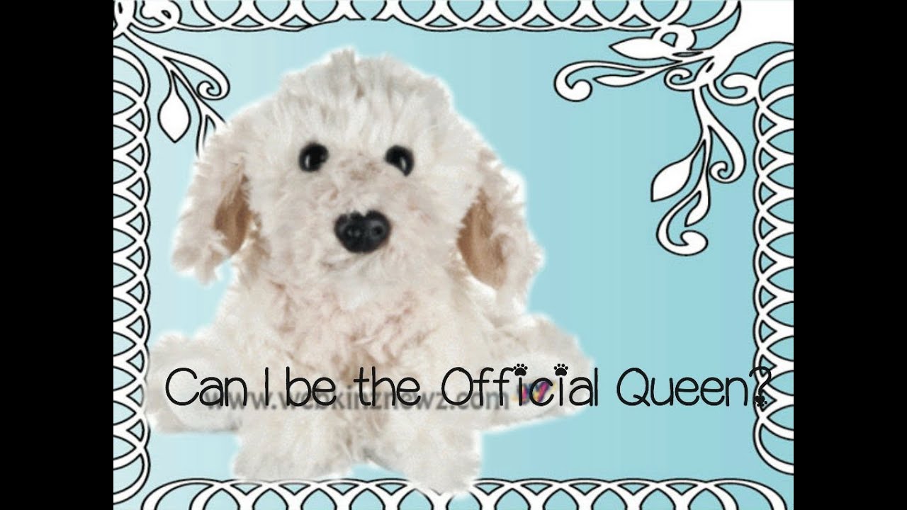 Can I be the official Queen of.... The webkinz Cockapoo queen?