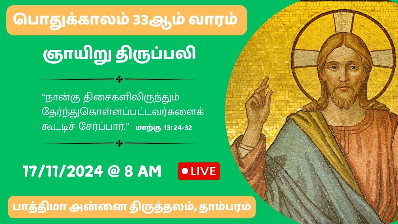 🔴LIVE: பொதுக்காலம் 33 ஆம் ஞாயிறு |  8am தமிழில் திருப்பலி | Fatima Shrine | Tambaram