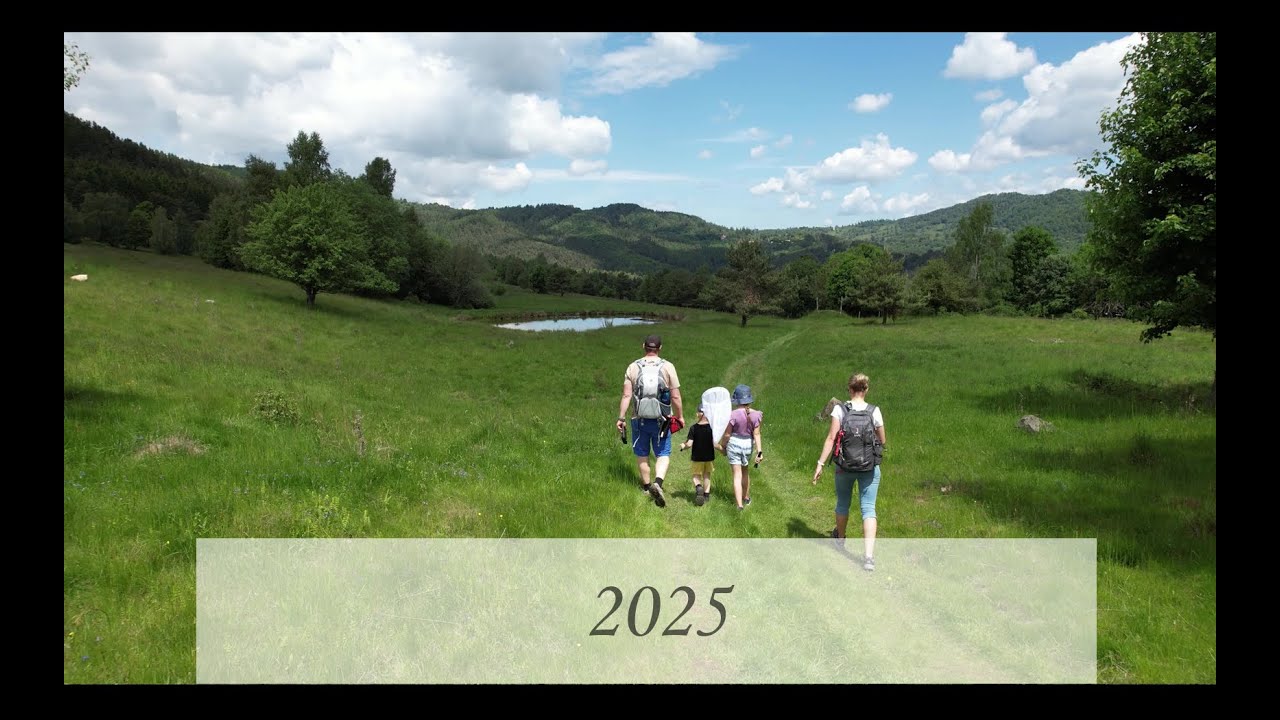 2025