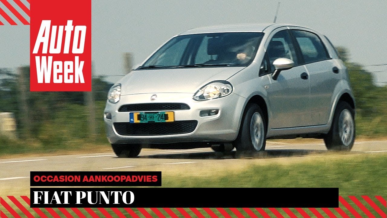 Fiat Punto — советы по покупке подержанного автомобиля