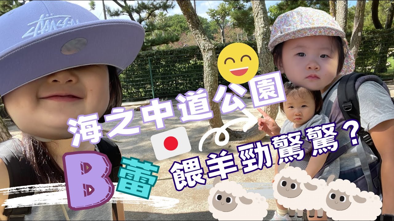 【我的領養B蕾】- 親親福岡海之中道海濱公園 #香港領養 #領養孩子 #b蕾 #b路