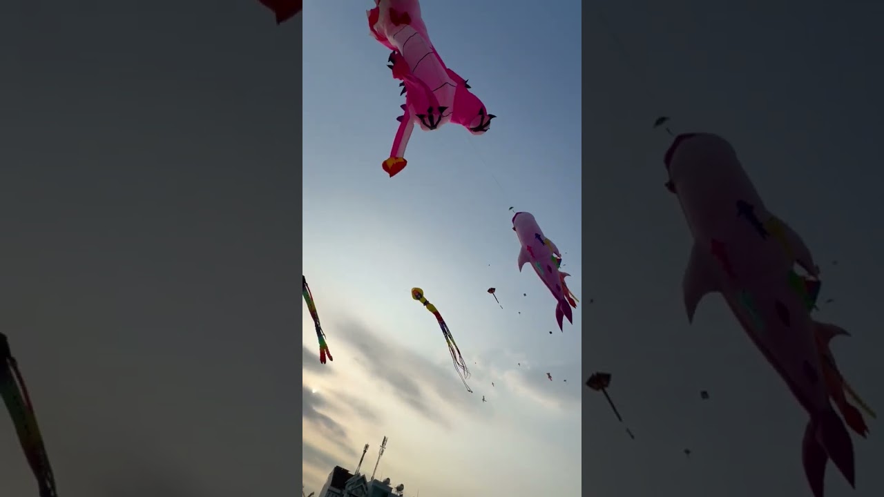 Thả diều Q8 20250316