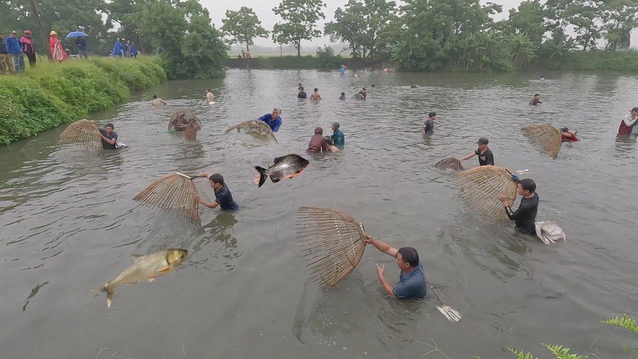 Nơm cá mè khủng hưng hugo