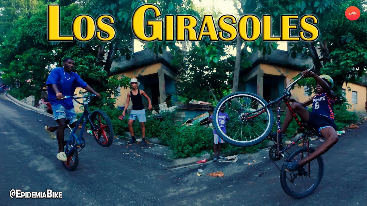 LOS GIRASOLES / Asi Bajamos La Loma Mas Peligrosa