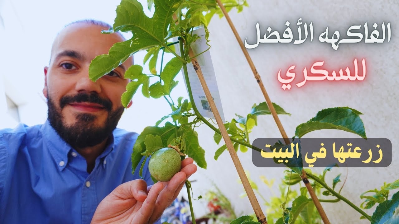 أفضل 10 فواكه للسكري في الصيف وأسو 5 فواكه لازم تبعد عنهم.