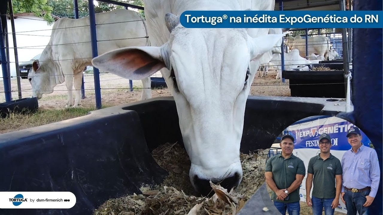 Tortuga® na inédita ExpoGenética do RN | Noticiário Tortuga