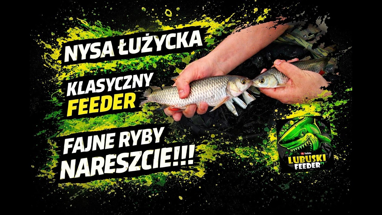 [#15] Nysa Łużycka - KLASYCZNY FEEDER i w końcu FAJNE RYBY !!!