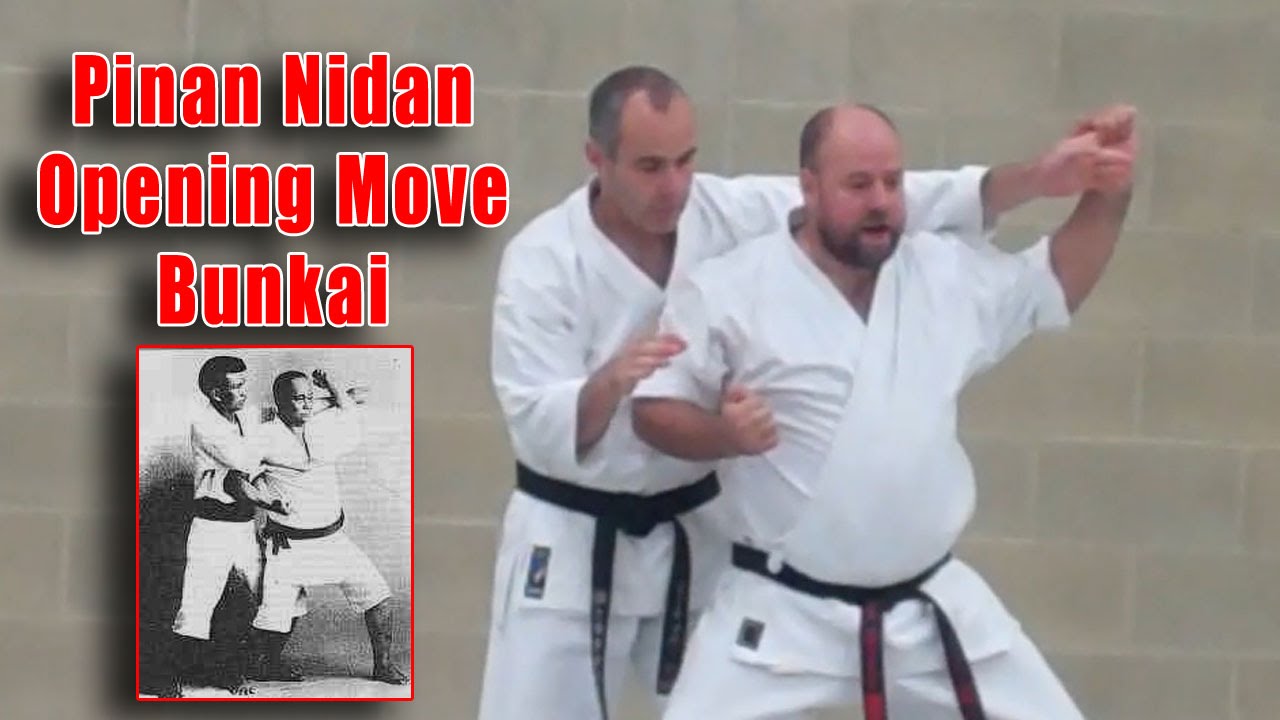 Practical Kata Bunkai: Pinan Nidan Opening Move