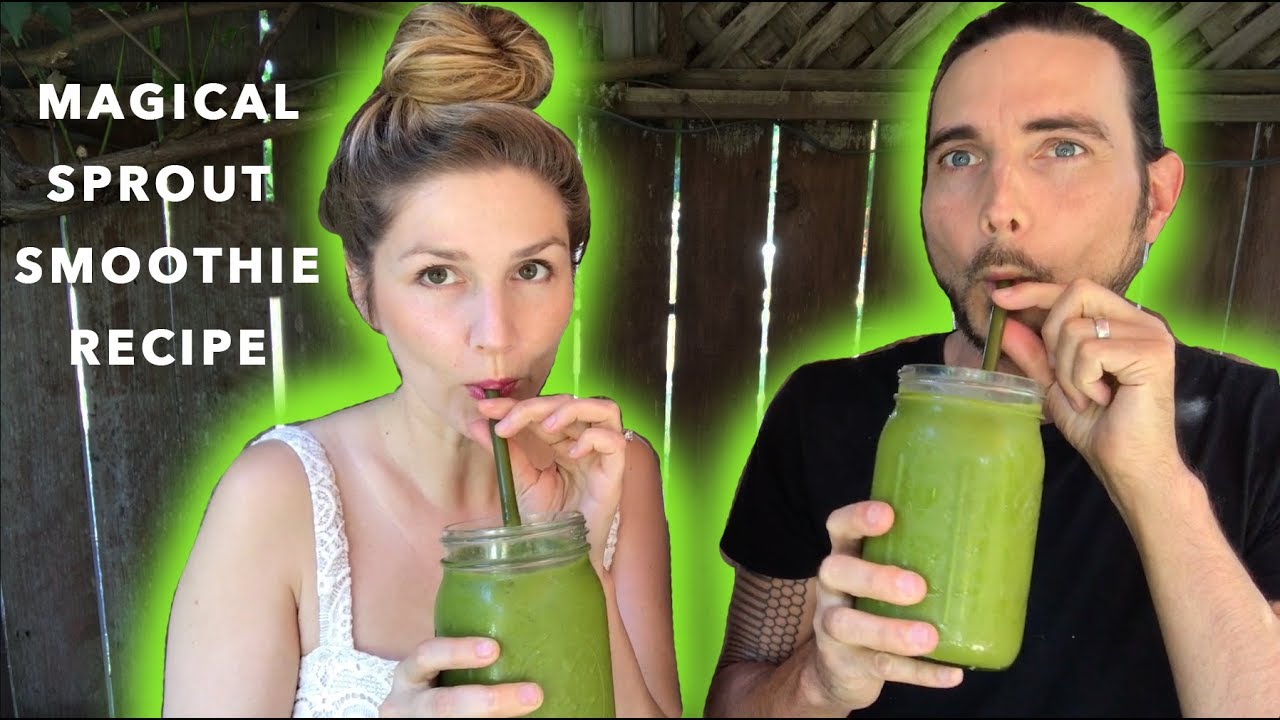 Raw Vegan Sunflower Sprout Smoothie: Family Favorite!