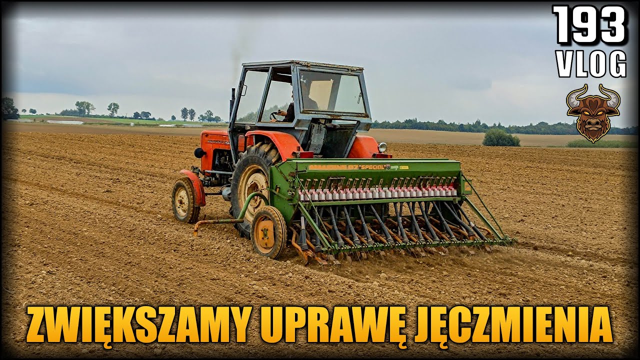 Siew jęczmienia ozimego - nigdy wcześniej tyle nie sialiśmy. | Vlog #193
