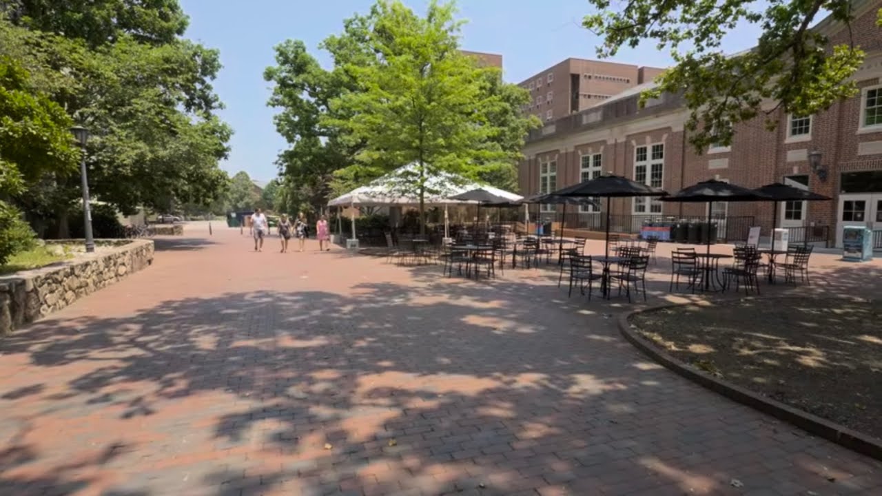 Walking Tour of University of North Carolina on Sunny Afternoon | Nature Sounds for Sleep and Study