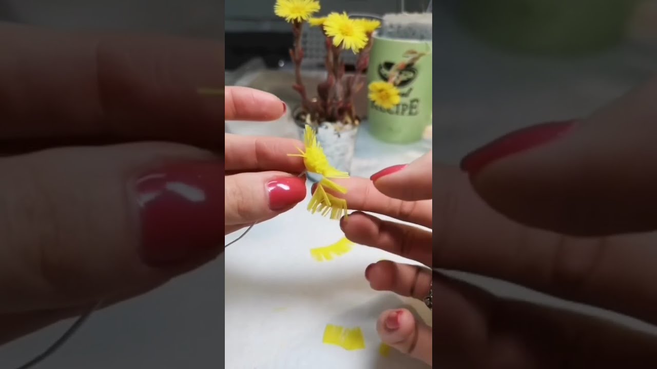Мать-и-мачеха видеоурок - Coltsfoot  tutorial