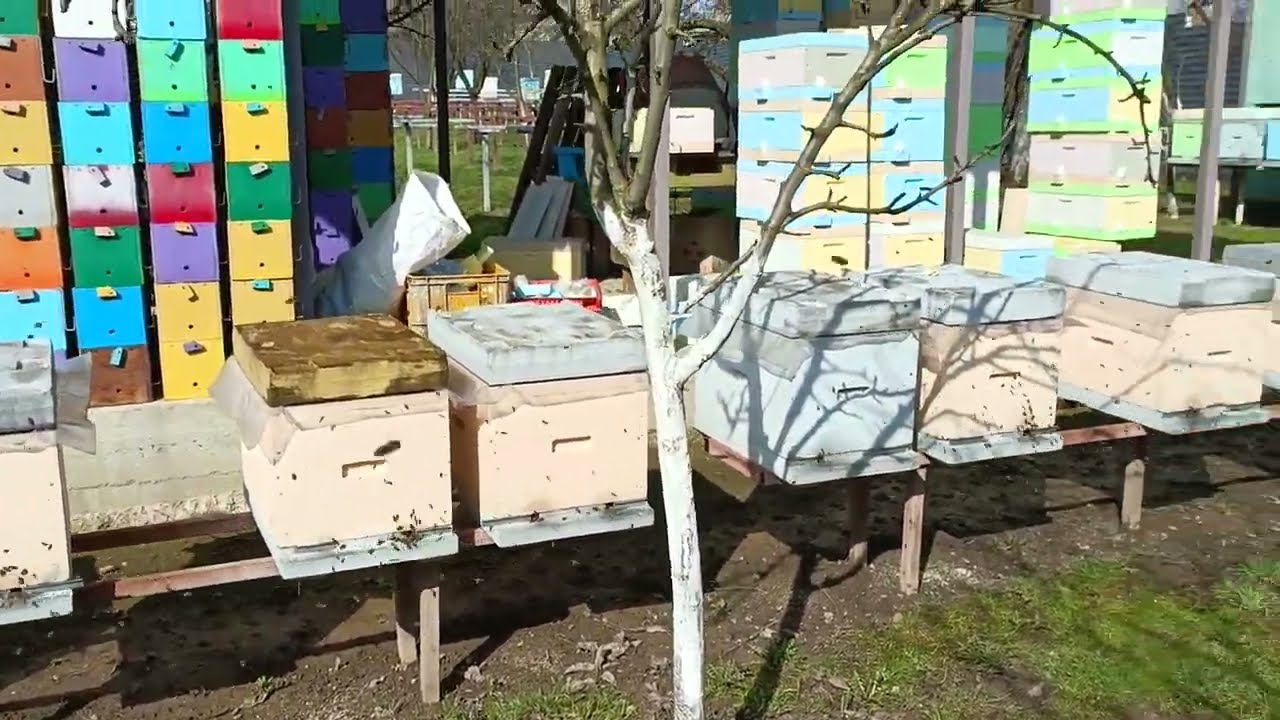 Ні про що 10.03.2023