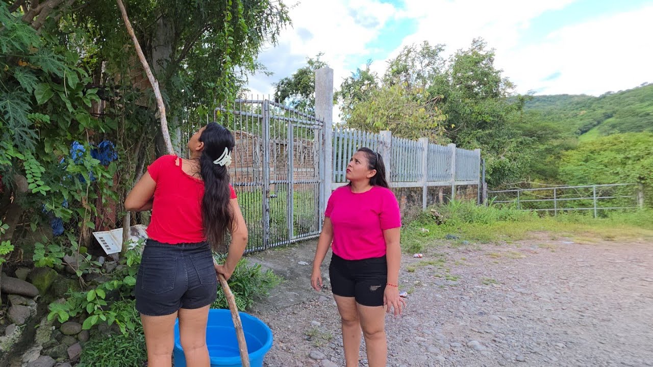 🔴Gran cosecha de naranja 🍊/BELLEZAS SALVADOREÑAS 