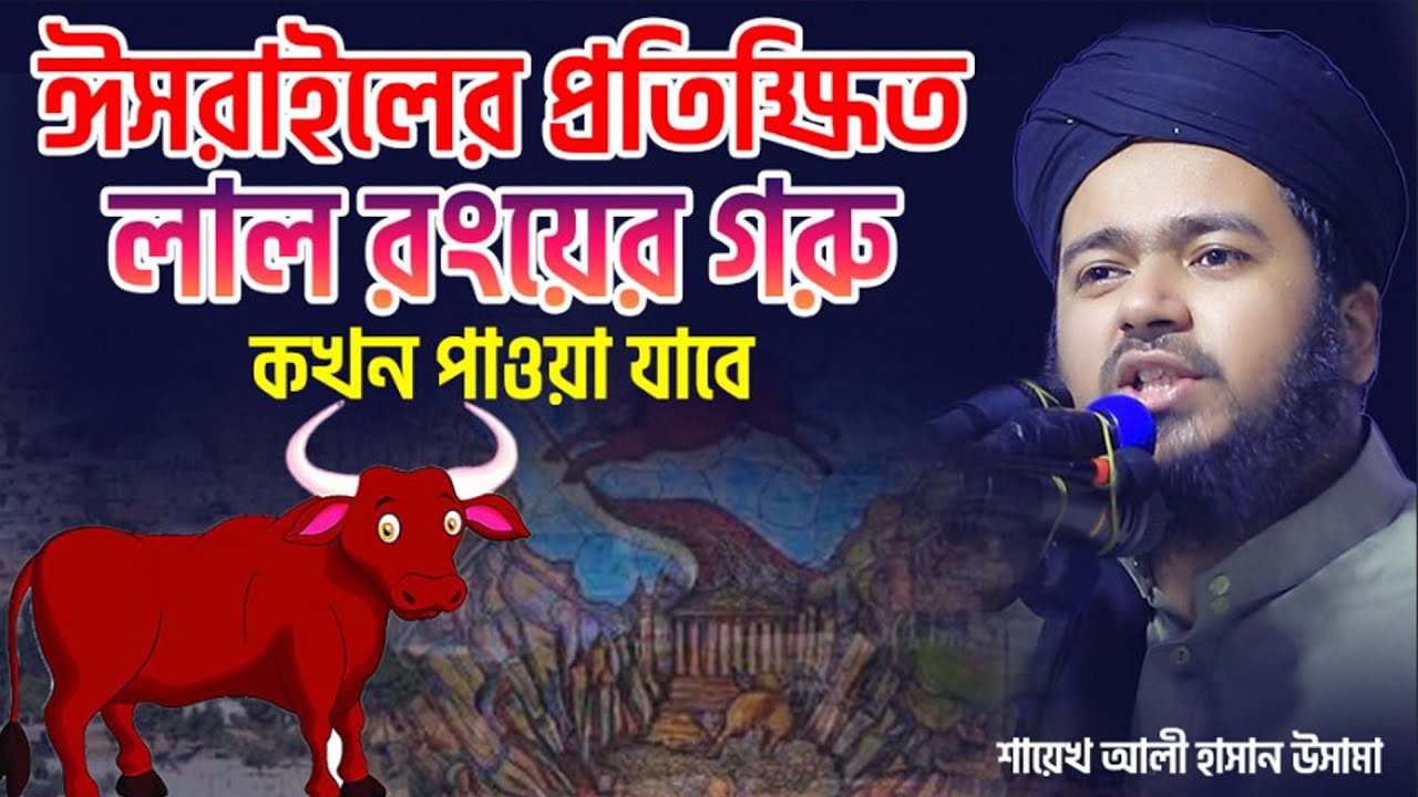 প্রতিক্ষিত লাল রংয়ের গরু কখন পাওয়া যাবে ||  শায়েখ আলী হাসান উসামা ali hasan osama